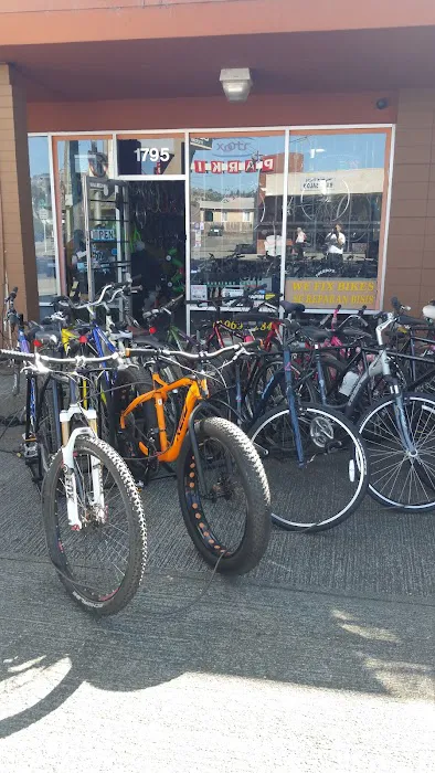 Vic's Bikes Picture 8
