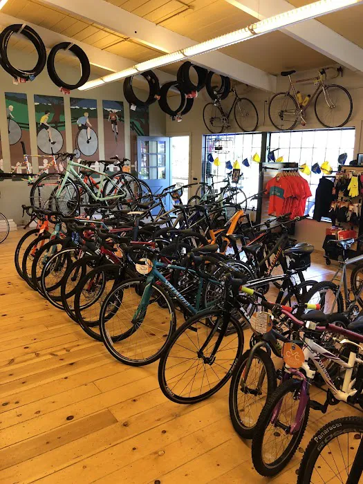 Castro Valley Cyclery Picture 3