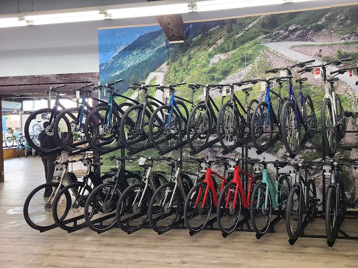 Trek Bicycle Castro Valley Picture 6