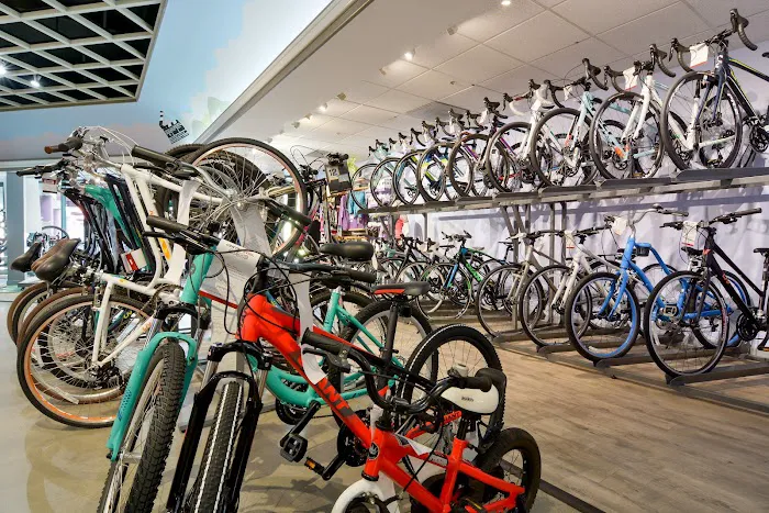 CentriPEDAL Bikes LLC Picture 2
