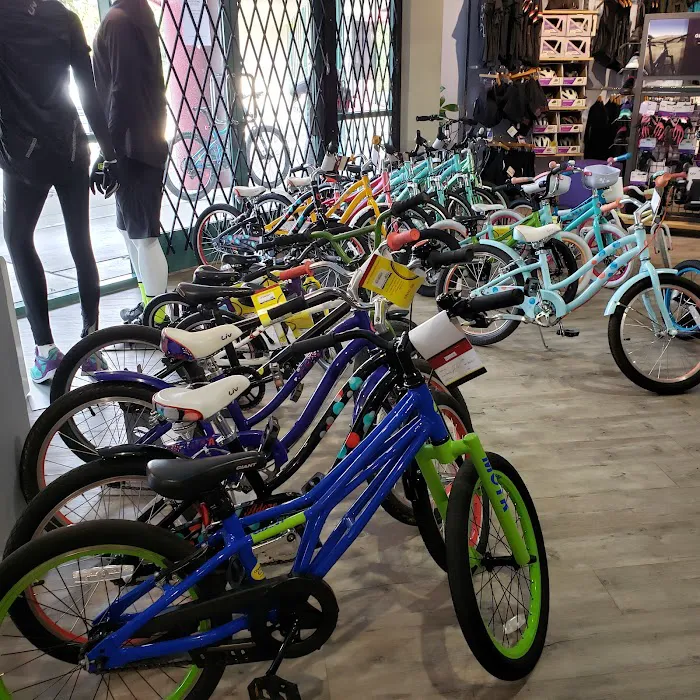 CentriPEDAL Bikes LLC Picture 6