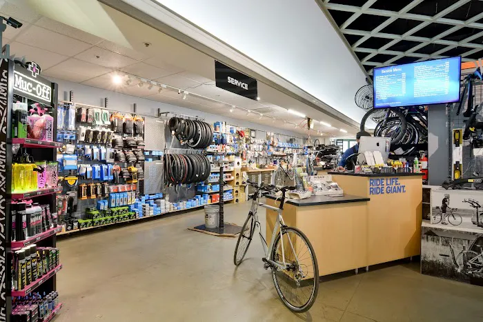 CentriPEDAL Bikes LLC Picture 8