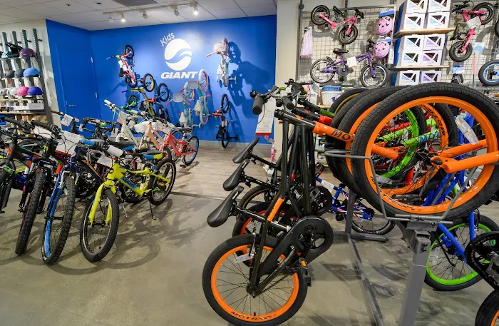 CentriPEDAL Bikes LLC Picture 9