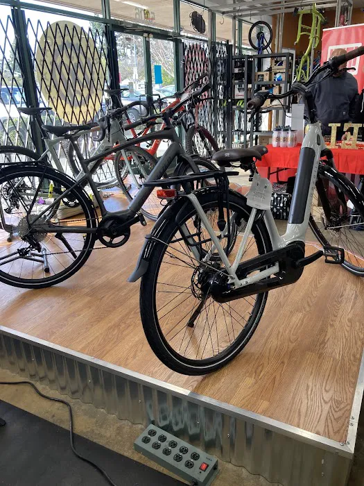 The Bicycle Garage Picture 1