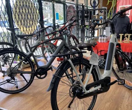 The Bicycle Garage