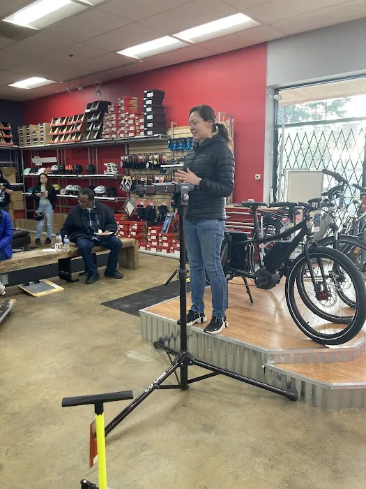 The Bicycle Garage Picture 5