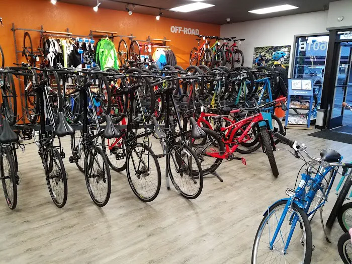 My Buddy's Bike Shop Picture 3