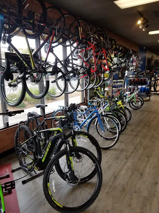 My Buddy's Bike Shop Picture 6