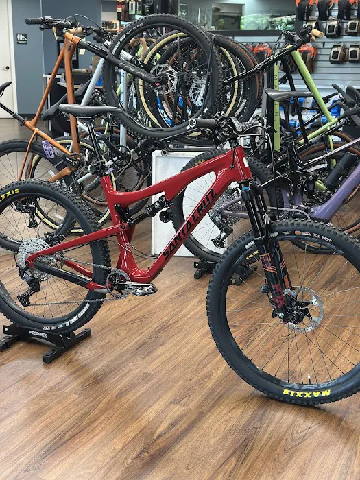 AJs Family Cyclery Picture 2