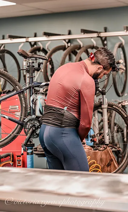 AJs Family Cyclery Picture 3