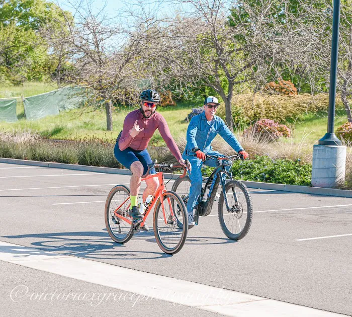 AJs Family Cyclery Picture 9