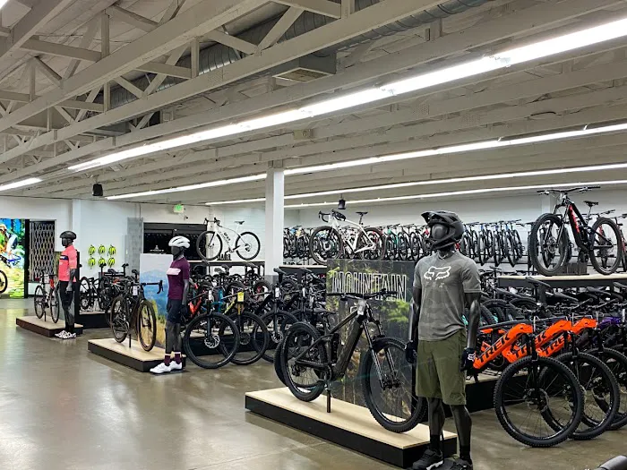 Trek Bicycle Livermore Picture 5