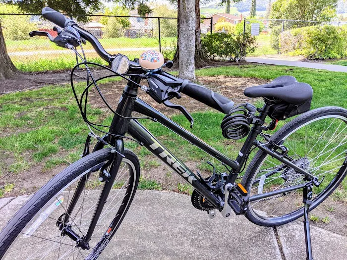 Trek Bicycle Alamo Picture 2