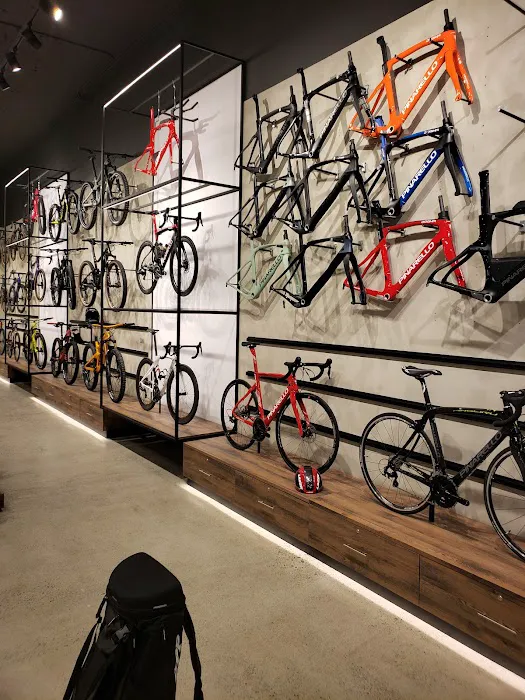 R&A Cycles of Walnut Creek Picture 8