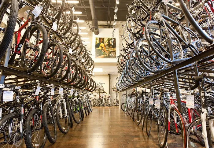 Mike's Bikes of Walnut Creek Picture 4