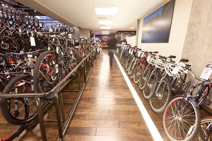 Mike's Bikes of Walnut Creek Picture 5