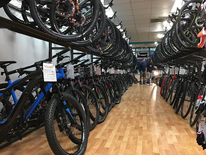 Encina Bicycle Center Picture 4