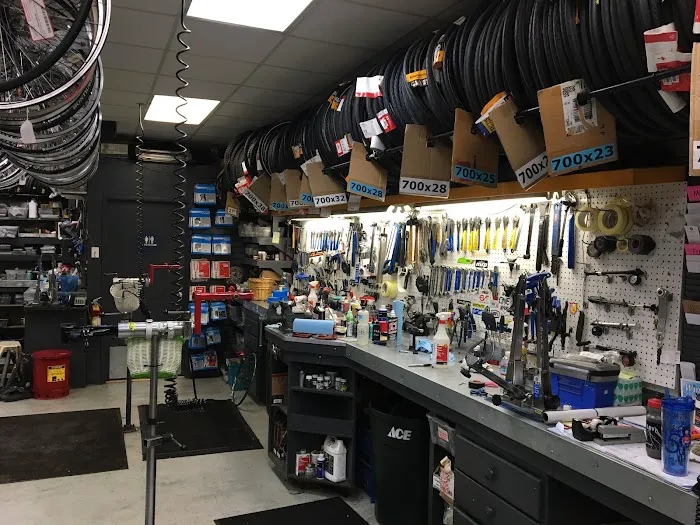 Encina Bicycle Center Picture 5