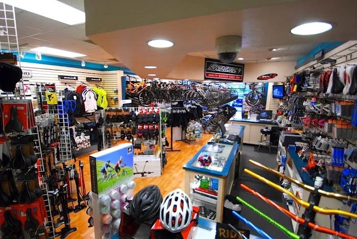 Encina Bicycle Center Picture 6