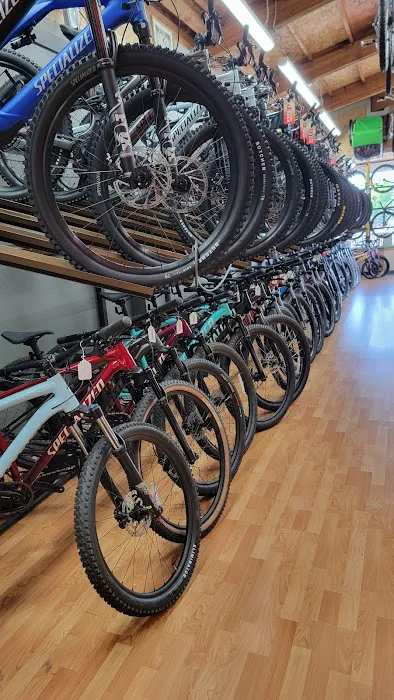 Encina Bicycle Center Picture 10