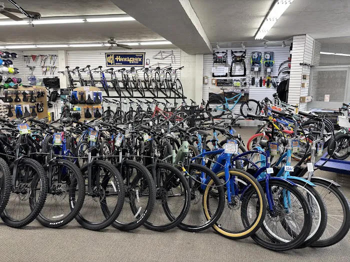 Hank & Frank Bicycles Picture 5