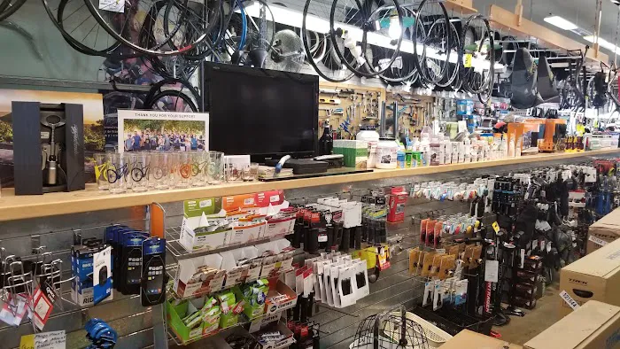 Sharp Bicycle Picture 6