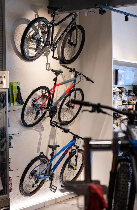 First Mile Cycle Works Picture 4