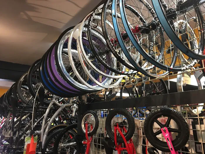 Clayton Bicycle Center Picture 2
