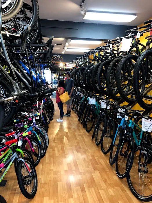 Clayton Bicycle Center Picture 5