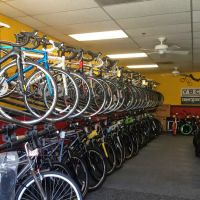 Big Dave's Bikes ico