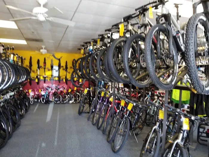 Big Dave's Bikes Picture 6
