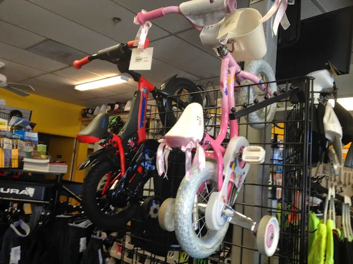 Big Dave's Bikes Picture 5