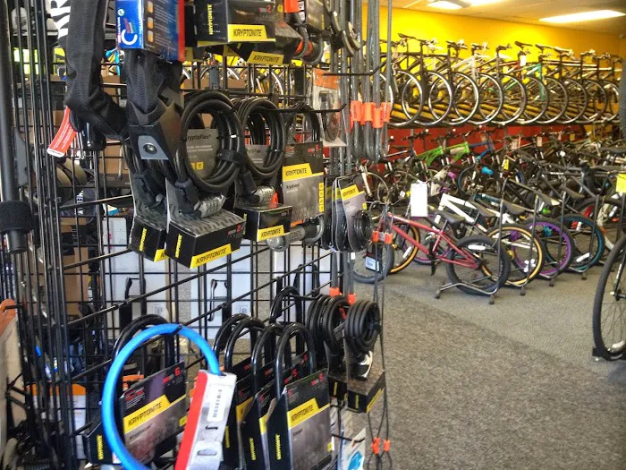Big Dave's Bikes Picture 10