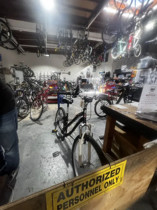 Live In Peace Bike Shop Picture 3