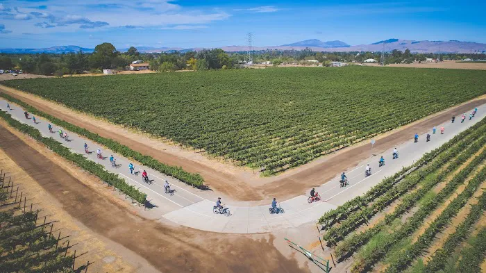 Pedego Electric Bikes Livermore Picture 9