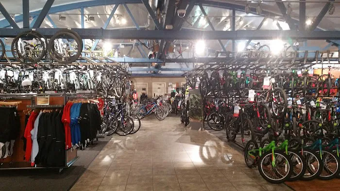 Velo Tech Picture 5