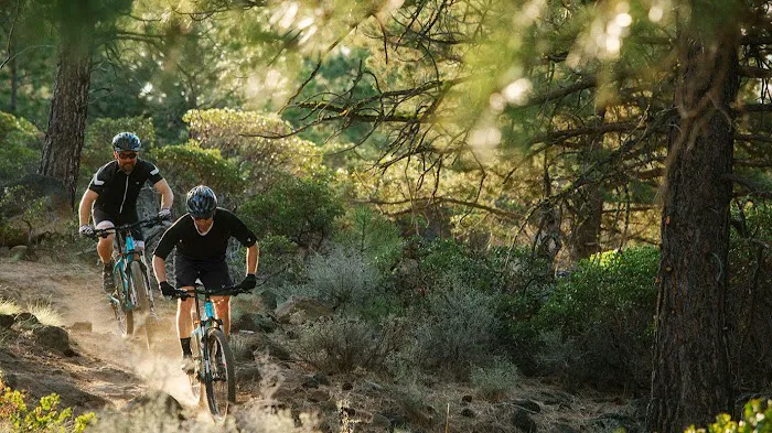 Summit Bicycles Picture 3