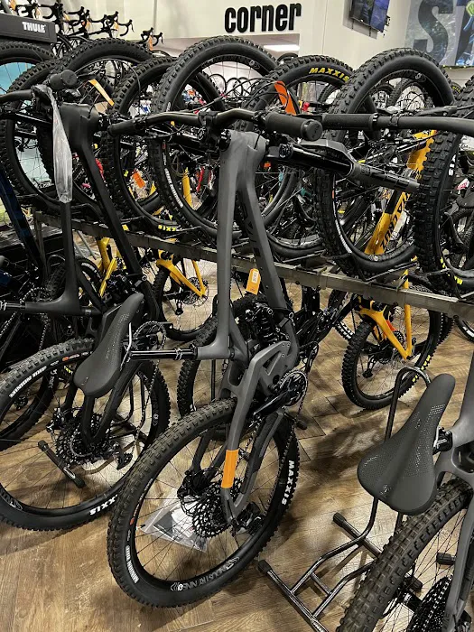 Summit Bicycles Picture 5