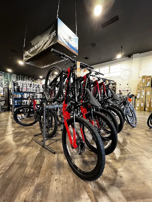 Summit Bicycles Picture 8