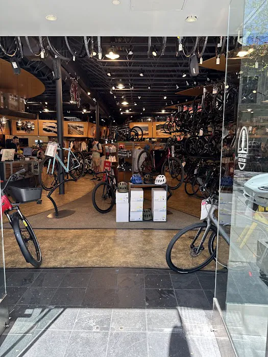 Palo Alto Bicycles Picture 3