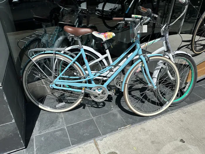 Palo Alto Bicycles Picture 8