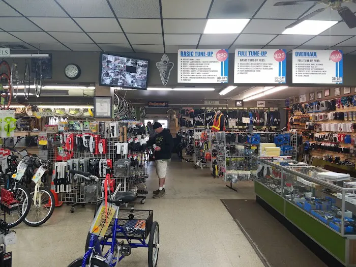 Walt's Cycle Picture 3