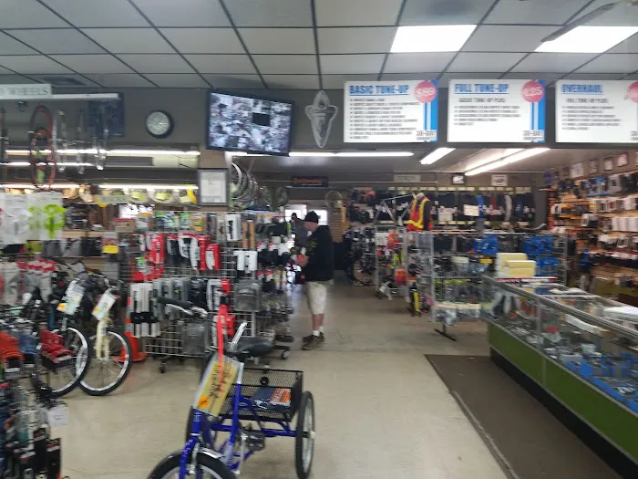 Walt's Cycle Picture 4
