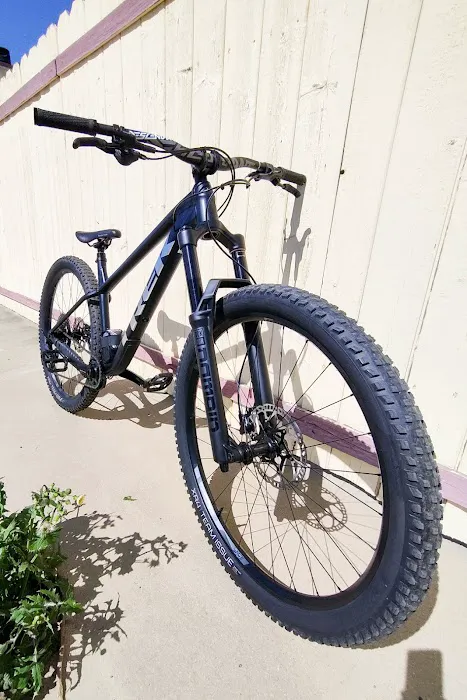 Walt's Cycle Picture 9