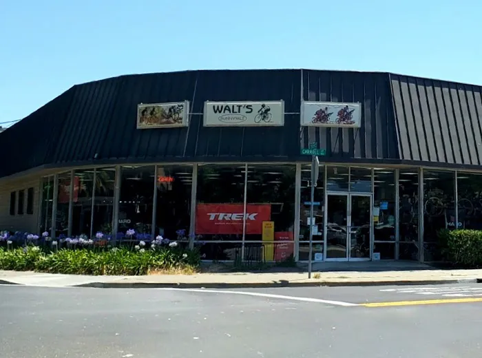 Walt's Cycle Picture 7