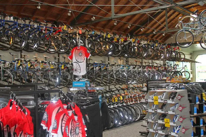 The Bike Connection Picture 4