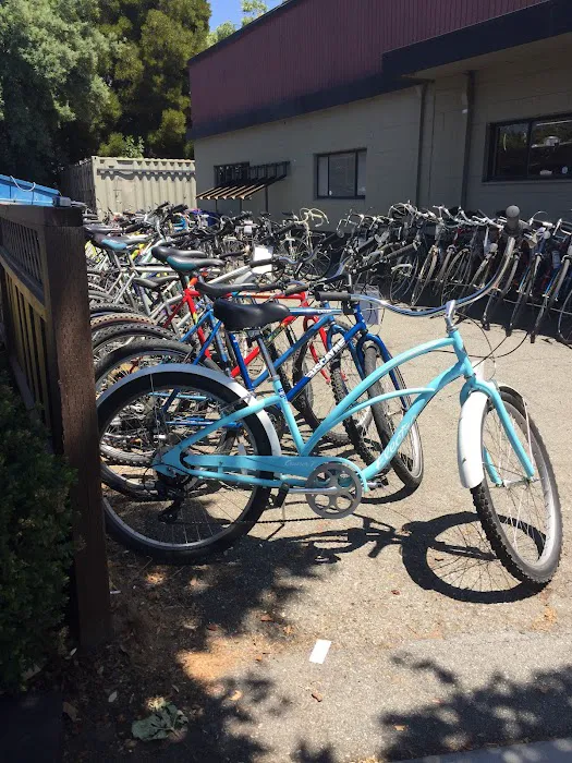 Cardinal Bike Shop Picture 5
