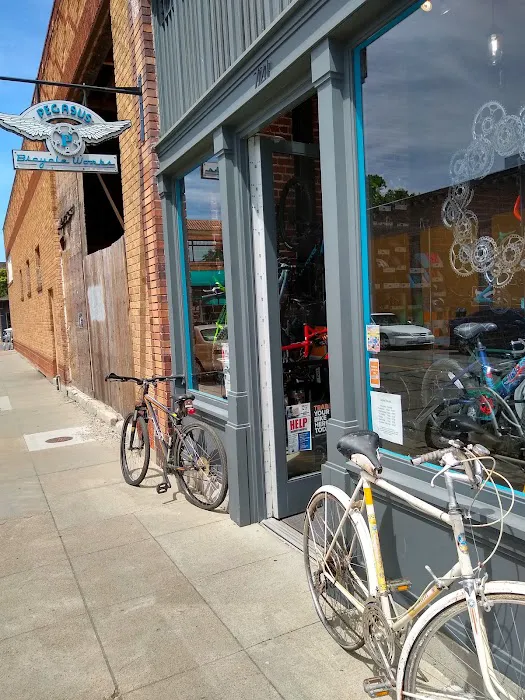 Pegasus Bicycle Works Picture 1