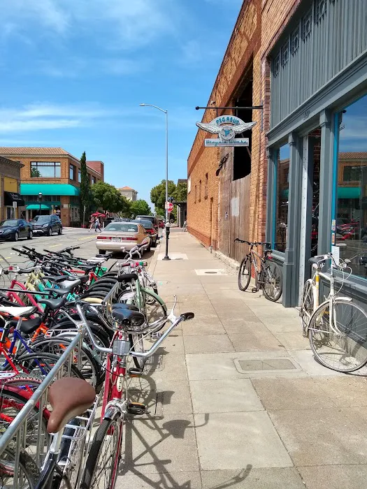 Pegasus Bicycle Works Picture 5