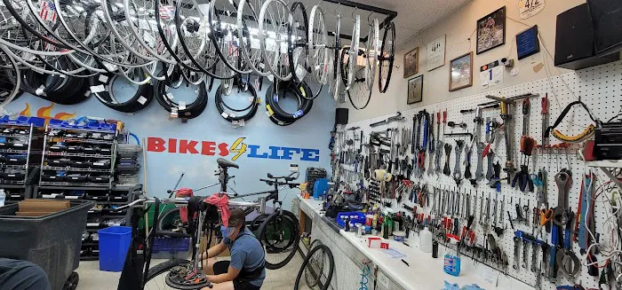 Bikes 4 Life Picture 6